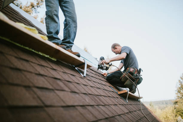 Professional Roofing Contractor in Lake Isabella, MI